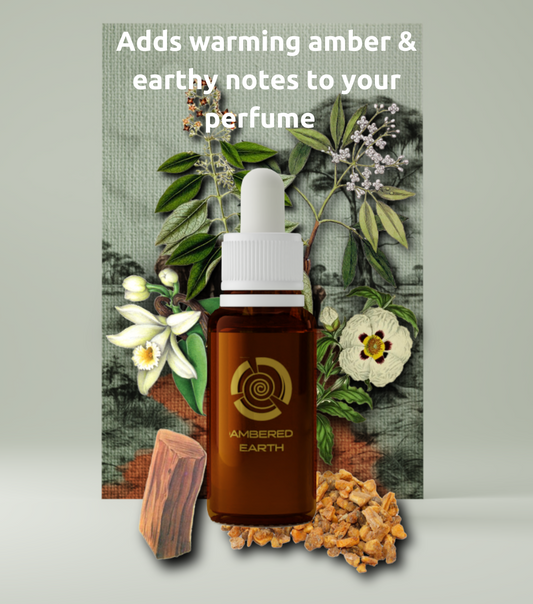 Ambered Earth Fragrance Accord 30ml